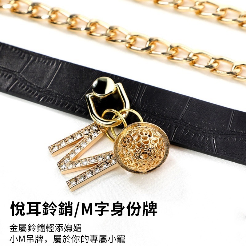 【瘋馬情趣】愛心項圈 sm 情趣 調教 項圈 牽引鏈 牽引繩情趣項圈蘿莉女僕牽引鏈繩鏈日系軟妹sm調教 頸圈 狗繩-細節圖2