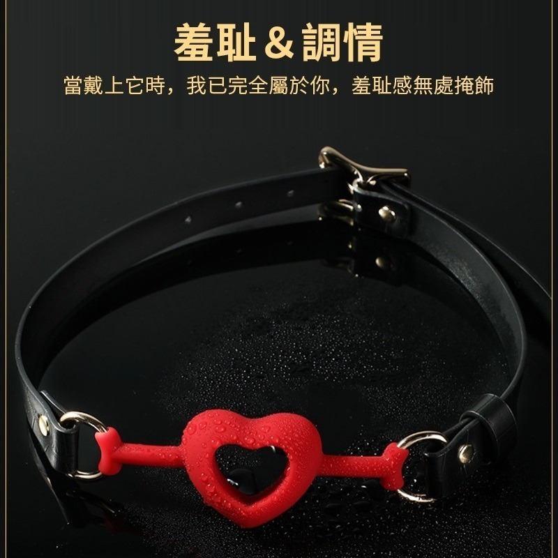【瘋馬情趣】矽膠口塞球 口塞球 口枷 SM 格雷 口球 SM口塞 口水球 SM綑綁調教 BDSM 性奴 情趣用品-細節圖3