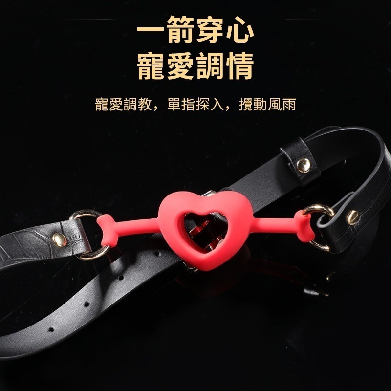 【瘋馬情趣】矽膠口塞球 口塞球 口枷 SM 格雷 口球 SM口塞 口水球 SM綑綁調教 BDSM 性奴 情趣用品-細節圖4