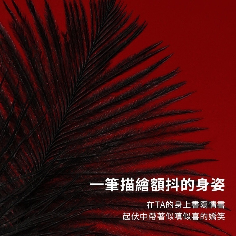 【瘋馬情趣】情趣羽毛棒 鴕鳥毛調情棒 調情棒 SM 調情 羽毛棒 前戲搔癢挑逗道具 成人請用品 夫妻玩具鴕鳥毛 蒙眼調情-細節圖3