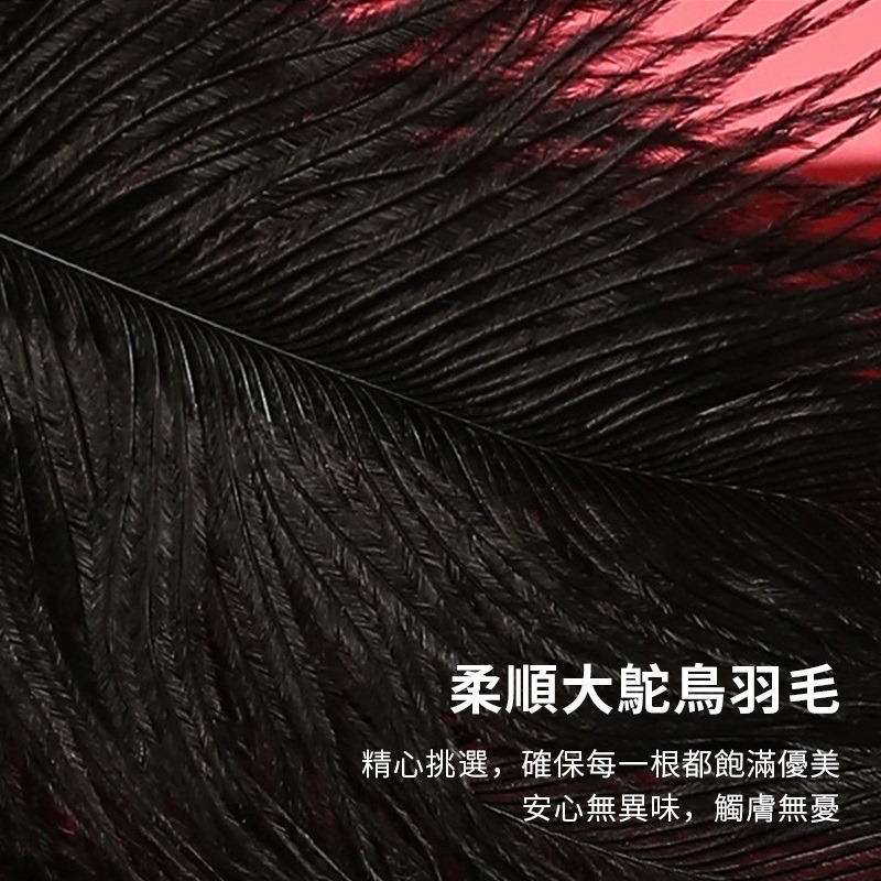 【瘋馬情趣】情趣羽毛棒 鴕鳥毛調情棒 調情棒 SM 調情 羽毛棒 前戲搔癢挑逗道具 成人請用品 夫妻玩具鴕鳥毛 蒙眼調情-細節圖6