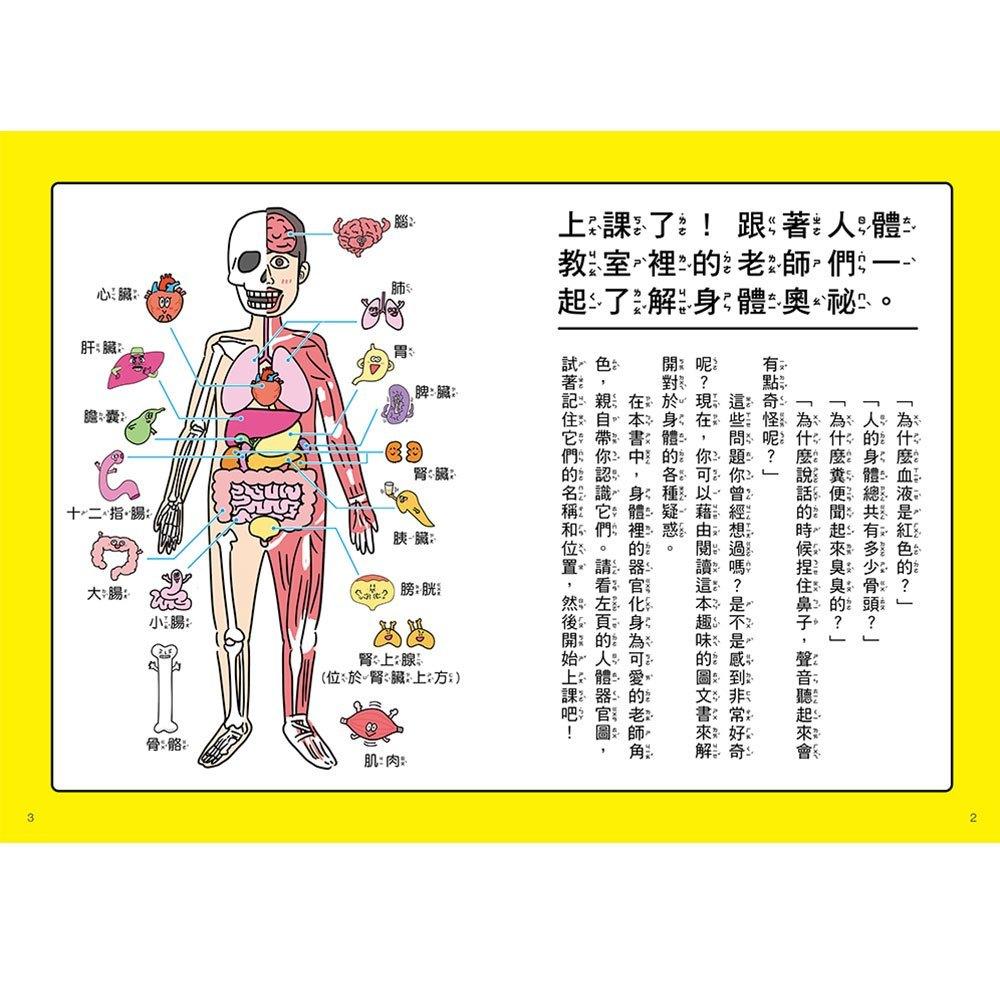 和平國際 人體先生圖鑑【器官小老師帶你認識身體奧祕】大醬童書專賣店-細節圖2