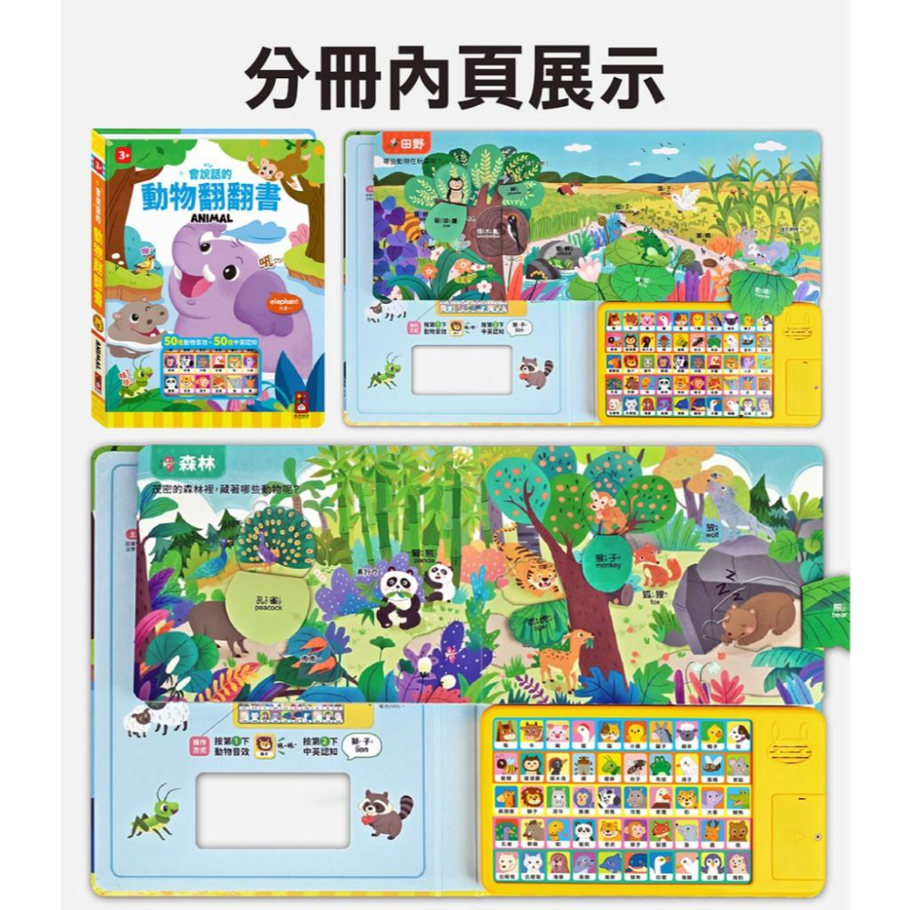 風車 會說話的生活翻翻書 大醬童書專賣店-細節圖9