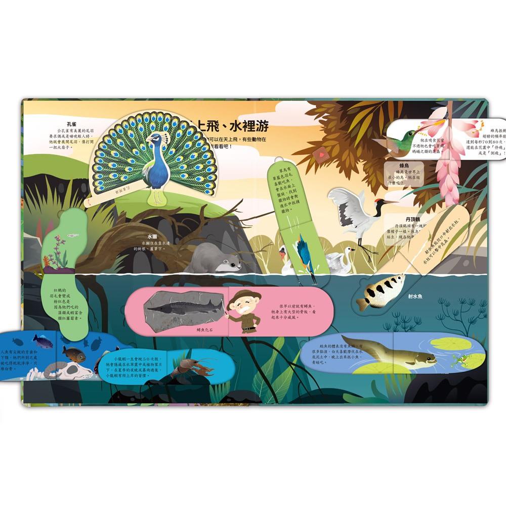 風車　神奇的動物百科立體翻翻書　大醬童書專賣店-細節圖3