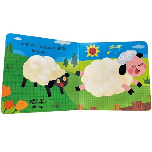 双美  寶寶觸摸有聲書（全4冊，內含20個觸摸+40種音效）大醬童書專賣店-細節圖3