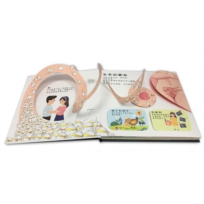 双美 性教育啟蒙：身體的祕密立體遊戲立體書  大醬童書專賣店-細節圖3