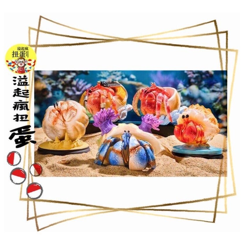 ♧溢起瘋扭蛋♧ 空想造物 夏日 寄居蟹 殼 透明 膽小 大海 海 螃蟹 公仔 盲盒 盒玩 高雄 鹽埕-細節圖2