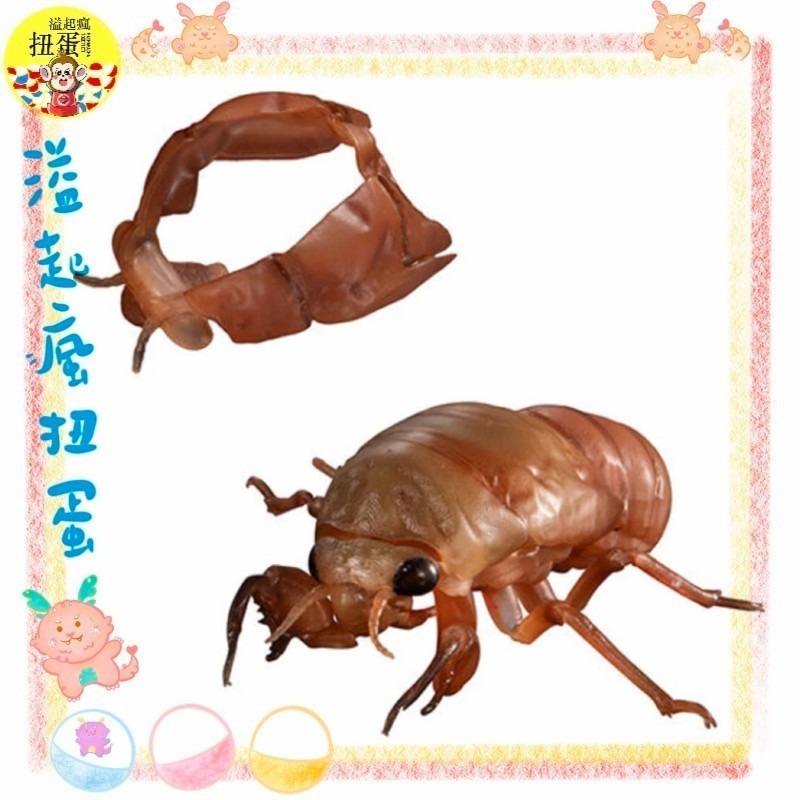 ♧溢起瘋扭蛋♧ 日本 日空版 扭蛋 轉蛋 BANDAI 生物大圖鑑進擊 斑透翅蟬 蟬 幼蟲 昆蟲 高雄 鹽埕-規格圖5