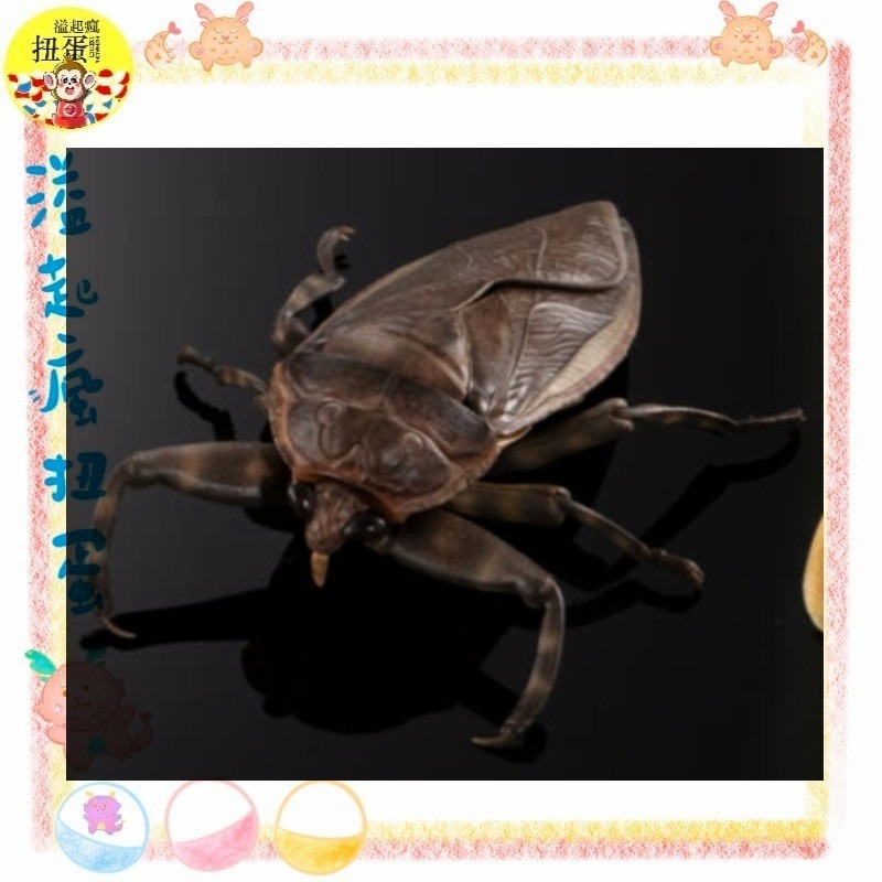 ♧溢起瘋扭蛋♧ 日本 BANDAI 扭蛋 轉蛋 生物大圖鑑進擊 水生昆蟲田鱉 狄式大 田鱉 桂花負蝽 水鱟 高雄 鹽埕-規格圖3