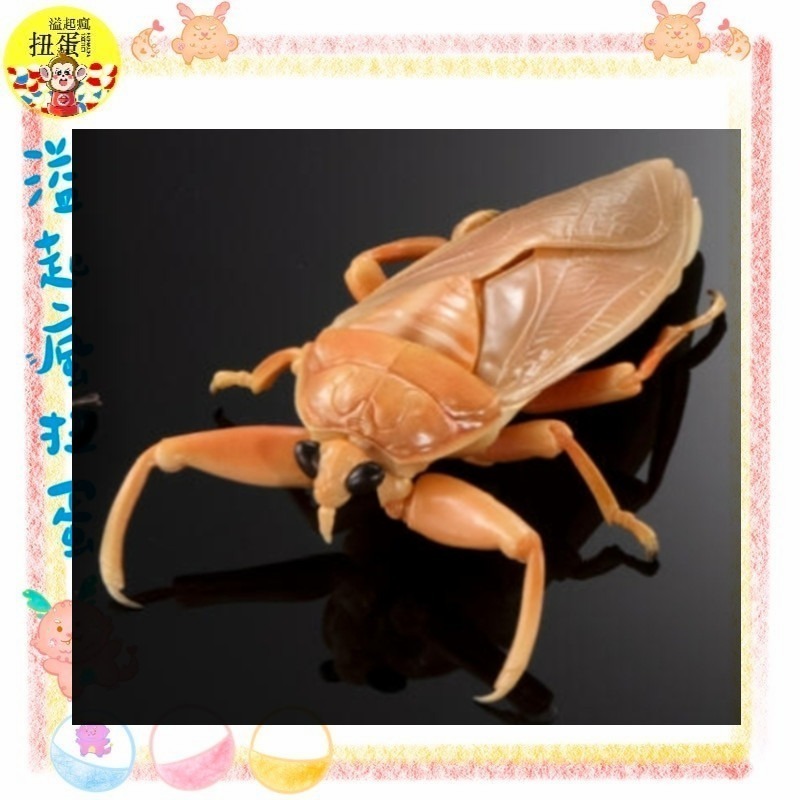 ♧溢起瘋扭蛋♧ 日本 BANDAI 扭蛋 轉蛋 生物大圖鑑進擊 水生昆蟲田鱉 狄式大 田鱉 桂花負蝽 水鱟 高雄 鹽埕-規格圖7