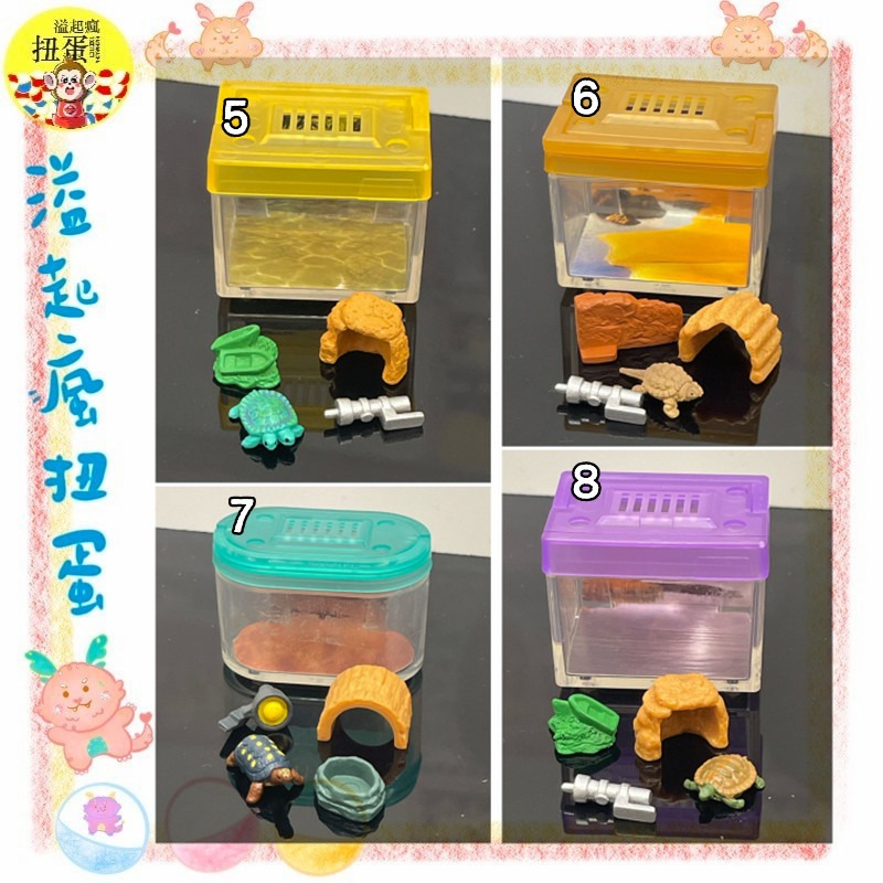 ♧溢起瘋扭蛋♧ 二手 無蛋紙 扭蛋 轉蛋 烏龜圖鑑飼養盒 陸龜 飼育箱 飼養 擬真 澤龜 擺設 高雄 鹽埕-細節圖2