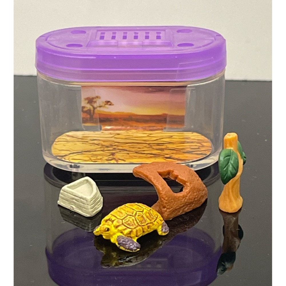 ♧溢起瘋扭蛋♧ 二手 無蛋紙 扭蛋 轉蛋 烏龜圖鑑飼養盒 陸龜 飼育箱 飼養 擬真 澤龜 擺設 高雄 鹽埕-規格圖4