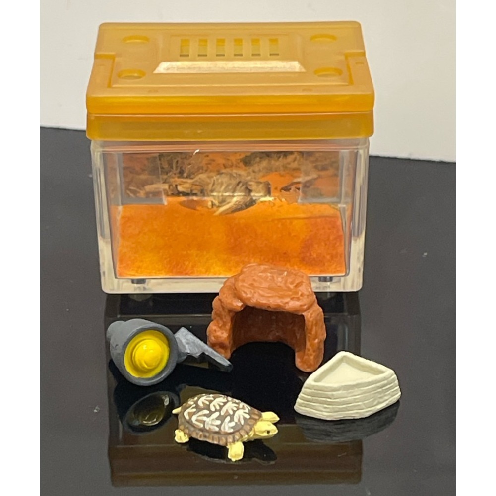 ♧溢起瘋扭蛋♧ 二手 無蛋紙 扭蛋 轉蛋 烏龜圖鑑飼養盒 陸龜 飼育箱 飼養 擬真 澤龜 擺設 高雄 鹽埕-規格圖4