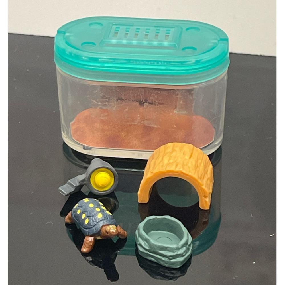 ♧溢起瘋扭蛋♧ 二手 無蛋紙 扭蛋 轉蛋 烏龜圖鑑飼養盒 陸龜 飼育箱 飼養 擬真 澤龜 擺設 高雄 鹽埕-規格圖4