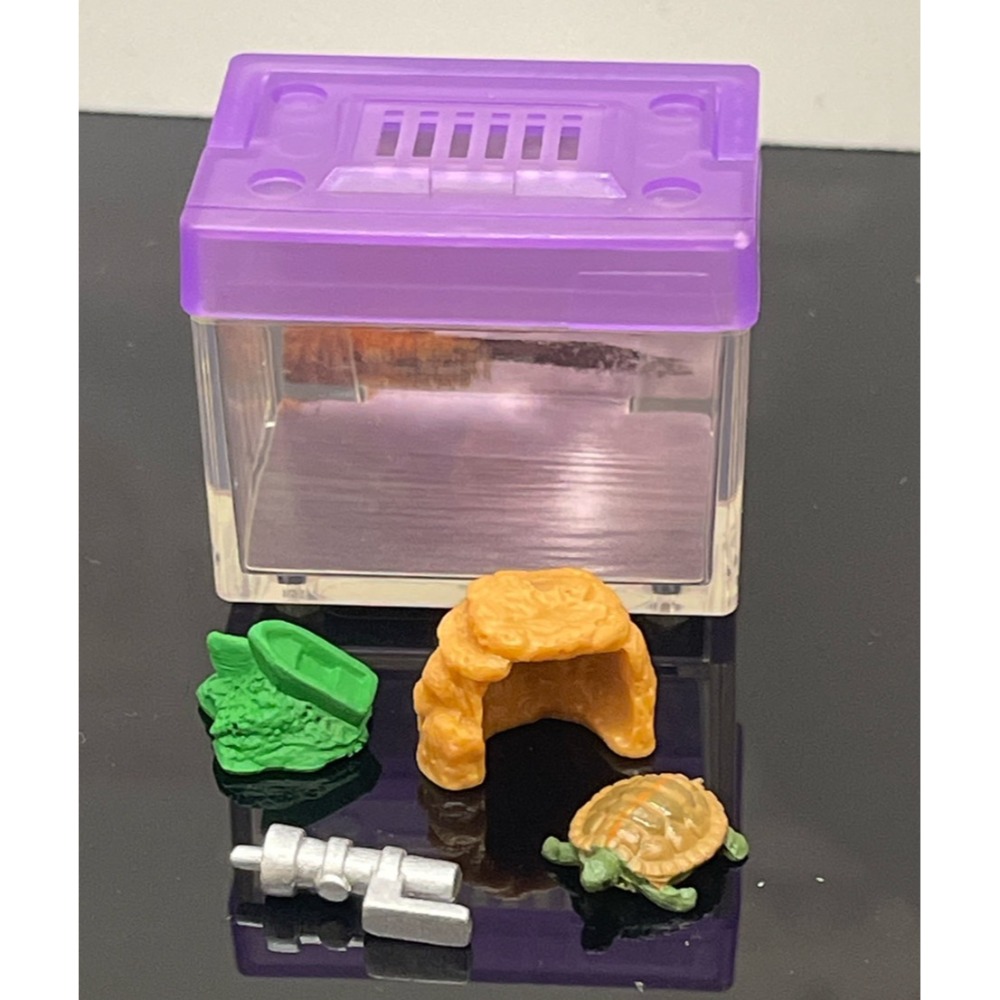 ♧溢起瘋扭蛋♧ 二手 無蛋紙 扭蛋 轉蛋 烏龜圖鑑飼養盒 陸龜 飼育箱 飼養 擬真 澤龜 擺設 高雄 鹽埕-規格圖4