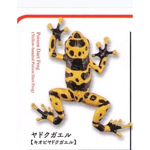 ♧溢起瘋扭蛋♧ 海洋堂 扭蛋 轉蛋 有毒危險動物大全 蜘蛛 蜈蚣 毒蛙 蠍子 章魚 蛇 高雄 鹽埕-規格圖6
