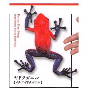 ♧溢起瘋扭蛋♧ 海洋堂 扭蛋 轉蛋 有毒危險動物大全 蜘蛛 蜈蚣 毒蛙 蠍子 章魚 蛇 高雄 鹽埕-規格圖6