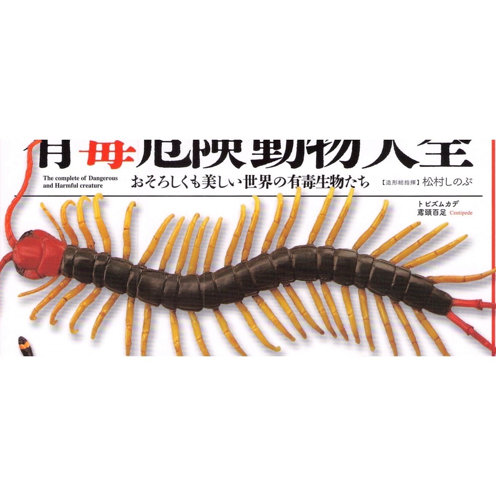 ♧溢起瘋扭蛋♧ 海洋堂 扭蛋 轉蛋 有毒危險動物大全 蜘蛛 蜈蚣 毒蛙 蠍子 章魚 蛇 高雄 鹽埕-規格圖6