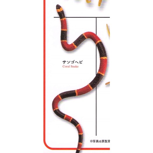 ♧溢起瘋扭蛋♧ 海洋堂 扭蛋 轉蛋 有毒危險動物大全 蜘蛛 蜈蚣 毒蛙 蠍子 章魚 蛇 高雄 鹽埕-規格圖3