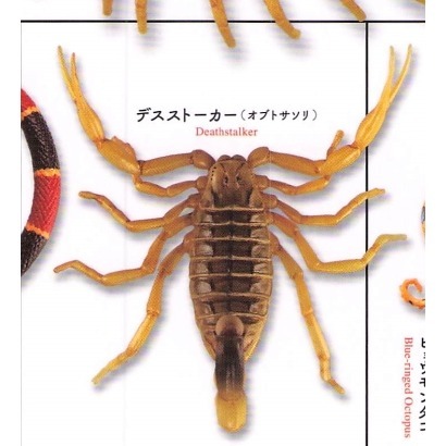 ♧溢起瘋扭蛋♧ 海洋堂 扭蛋 轉蛋 有毒危險動物大全 蜘蛛 蜈蚣 毒蛙 蠍子 章魚 蛇 高雄 鹽埕-規格圖6