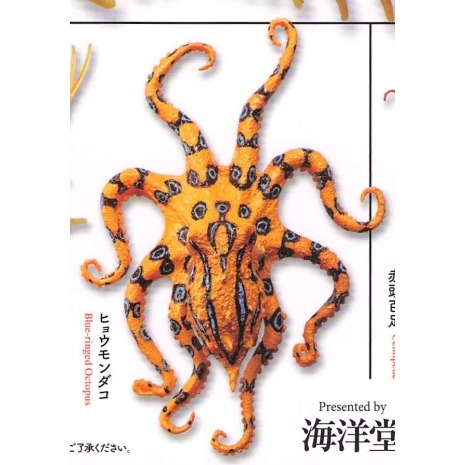 ♧溢起瘋扭蛋♧ 海洋堂 扭蛋 轉蛋 有毒危險動物大全 蜘蛛 蜈蚣 毒蛙 蠍子 章魚 蛇 高雄 鹽埕-規格圖3