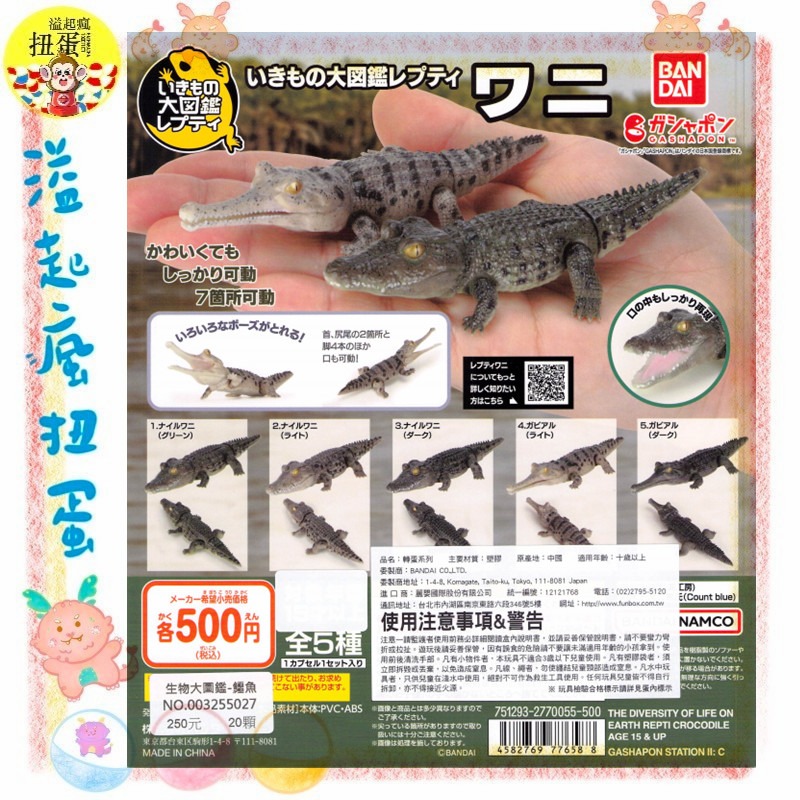 ♧溢起瘋扭蛋♧ BANDAI 轉蛋 扭蛋 生物大圖鑑 鱷魚 生物 圖鑑 模型 可動 動物 公仔 高雄 鹽埕-規格圖3