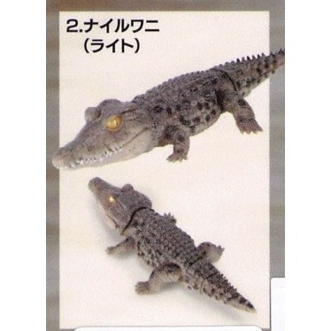 ♧溢起瘋扭蛋♧ BANDAI 轉蛋 扭蛋 生物大圖鑑 鱷魚 生物 圖鑑 模型 可動 動物 公仔 高雄 鹽埕-規格圖3