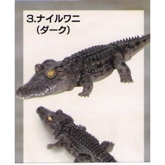 ♧溢起瘋扭蛋♧ BANDAI 轉蛋 扭蛋 生物大圖鑑 鱷魚 生物 圖鑑 模型 可動 動物 公仔 高雄 鹽埕-規格圖3