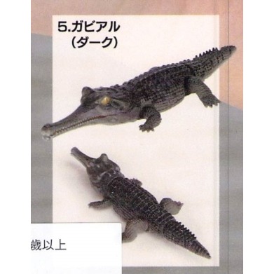 ♧溢起瘋扭蛋♧ BANDAI 轉蛋 扭蛋 生物大圖鑑 鱷魚 生物 圖鑑 模型 可動 動物 公仔 高雄 鹽埕-規格圖3