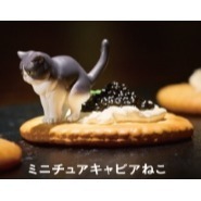 ♧溢起瘋扭蛋♧ T-ARTS 扭蛋 轉蛋 生活中的迷你貓咪 貓咪 生活 躲藏 公仔 搞怪 高雄 鹽埕-規格圖3