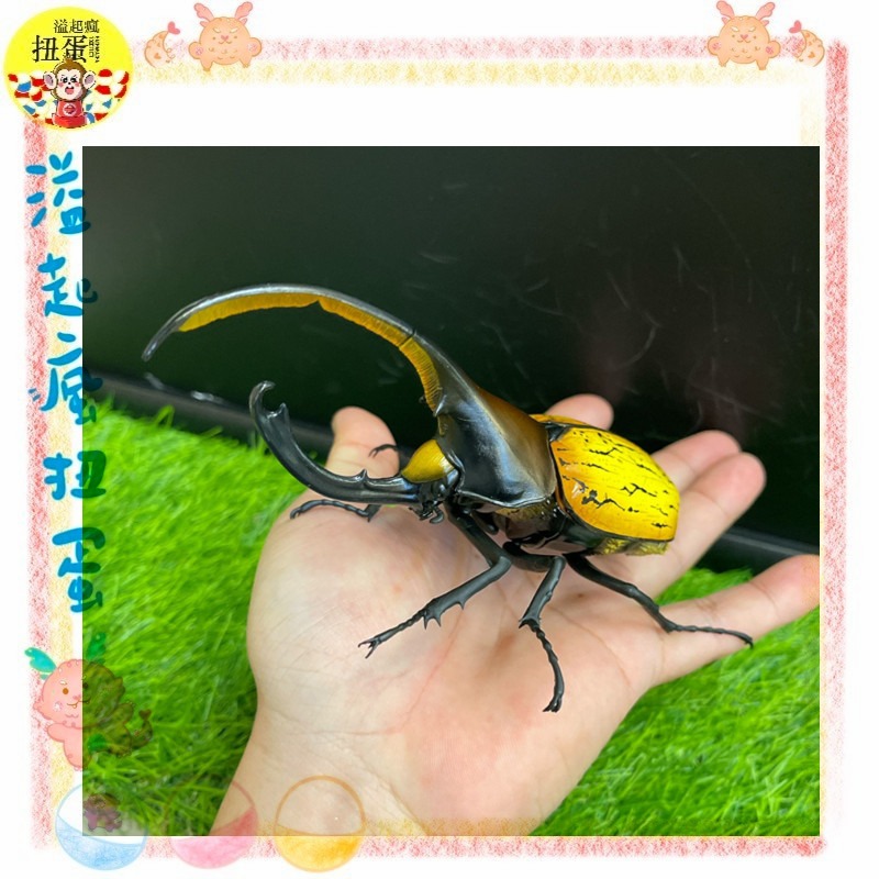 ♧溢起瘋扭蛋♧ BANDAI 扭蛋 轉蛋 生物大圖鑑 獨角仙 甲蟲 寵物 赫克力士 海神 高雄 鹽埕-細節圖2
