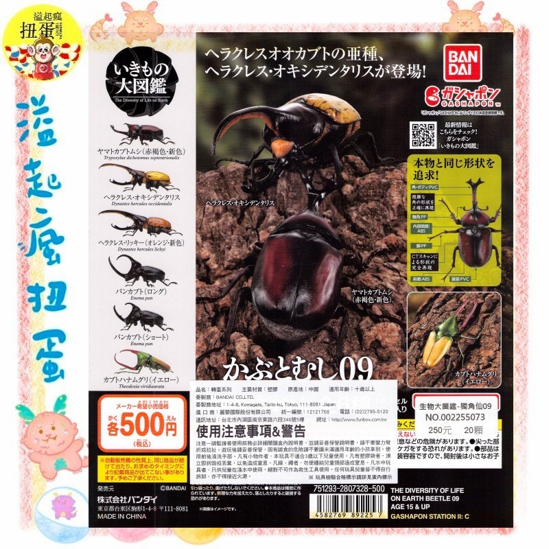 ♧溢起瘋扭蛋♧ BANDAI 扭蛋 轉蛋 生物大圖鑑 獨角仙 甲蟲 寵物 赫克力士 海神 高雄 鹽埕-規格圖4
