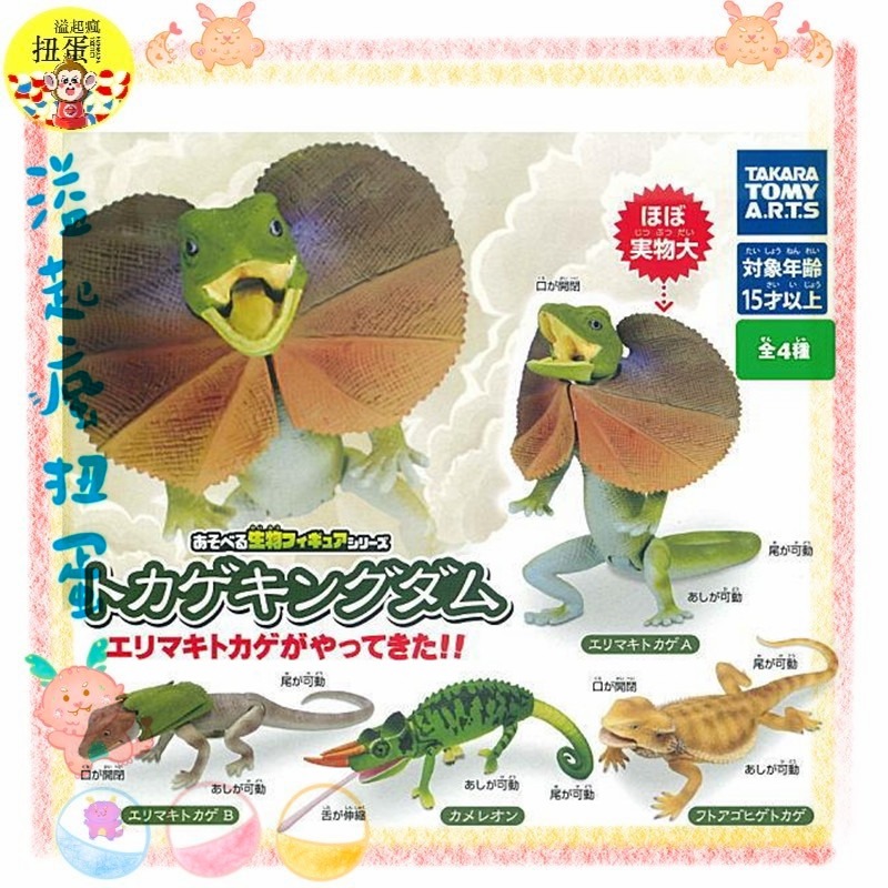 ♧溢起瘋扭蛋♧ T-Arts 扭蛋 轉蛋 可動生物模型 蜥蜴王國 傘蜥蜴來了 傘蜥蜴 蜥蜴 寵物 高雄 鹽埕-規格圖4