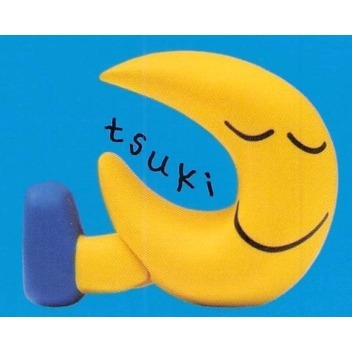 ♧溢起瘋扭蛋♧ Qualia 扭蛋 轉蛋  DAISUKE KONDO收藏公仔P2 月亮 北極熊 綠頭鴨 高雄 鹽埕-規格圖4