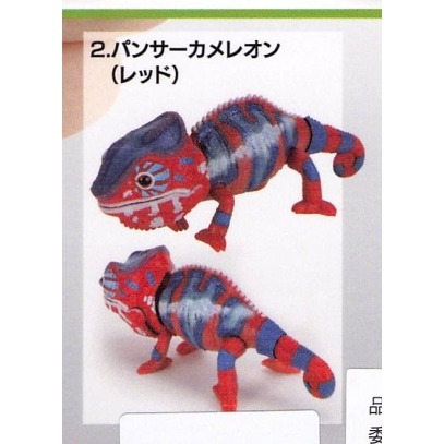 ♧溢起瘋扭蛋♧ BANDAI 轉蛋 扭蛋 生物大圖鑑 變色龍 爬行動物 蜥蜴 變色 公仔 可動 模型 高雄 鹽埕-規格圖4