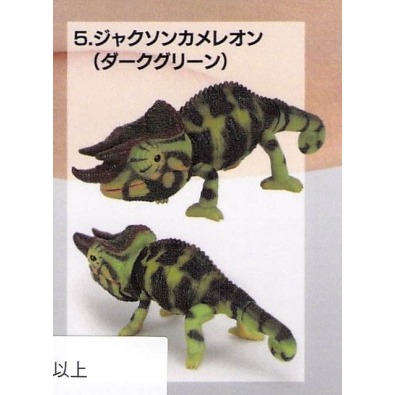 ♧溢起瘋扭蛋♧ BANDAI 轉蛋 扭蛋 生物大圖鑑 變色龍 爬行動物 蜥蜴 變色 公仔 可動 模型 高雄 鹽埕-規格圖4