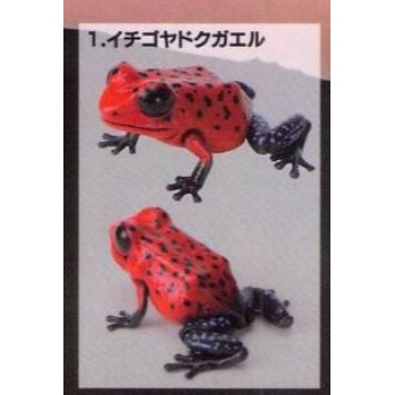♧溢起瘋扭蛋♧ BANDAI 轉蛋 扭蛋 生物大圖鑑 爬蟲類 箭毒蛙 青蛙 雨林 毒蛙 公仔 高雄 鹽埕-規格圖5