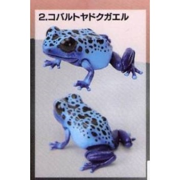 ♧溢起瘋扭蛋♧ BANDAI 轉蛋 扭蛋 生物大圖鑑 爬蟲類 箭毒蛙 青蛙 雨林 毒蛙 公仔 高雄 鹽埕-規格圖5