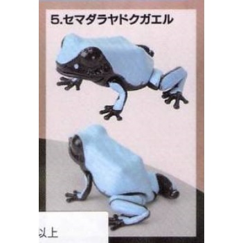 ♧溢起瘋扭蛋♧ BANDAI 轉蛋 扭蛋 生物大圖鑑 爬蟲類 箭毒蛙 青蛙 雨林 毒蛙 公仔 高雄 鹽埕-規格圖5