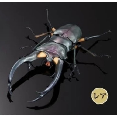 ♧溢起瘋扭蛋♧ BANDAI 扭蛋 轉蛋 生物大圖鑑 鍬形蟲 02 紅鹿細身赤鍬 日本大鍬 橘背叉角鍬 高雄 鹽埕-規格圖6