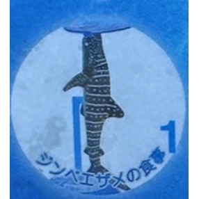 ♧溢起瘋扭蛋♧ 日版 扭蛋 沖繩 美麗海水族館限定 水族館 限定 海洋生物 公仔 高雄 鹽埕-規格圖6