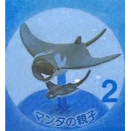 ♧溢起瘋扭蛋♧ 日版 扭蛋 沖繩 美麗海水族館限定 水族館 限定 海洋生物 公仔 高雄 鹽埕-規格圖6