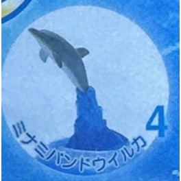 ♧溢起瘋扭蛋♧ 日版 扭蛋 沖繩 美麗海水族館限定 水族館 限定 海洋生物 公仔 高雄 鹽埕-規格圖6