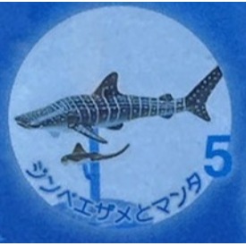 ♧溢起瘋扭蛋♧ 日版 扭蛋 沖繩 美麗海水族館限定 水族館 限定 海洋生物 公仔 高雄 鹽埕-規格圖6