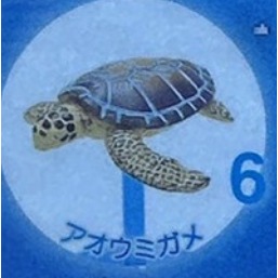 ♧溢起瘋扭蛋♧ 日版 扭蛋 沖繩 美麗海水族館限定 水族館 限定 海洋生物 公仔 高雄 鹽埕-規格圖6