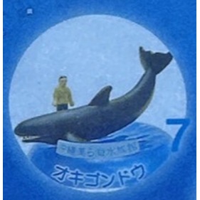 ♧溢起瘋扭蛋♧ 日版 扭蛋 沖繩 美麗海水族館限定 水族館 限定 海洋生物 公仔 高雄 鹽埕-規格圖6