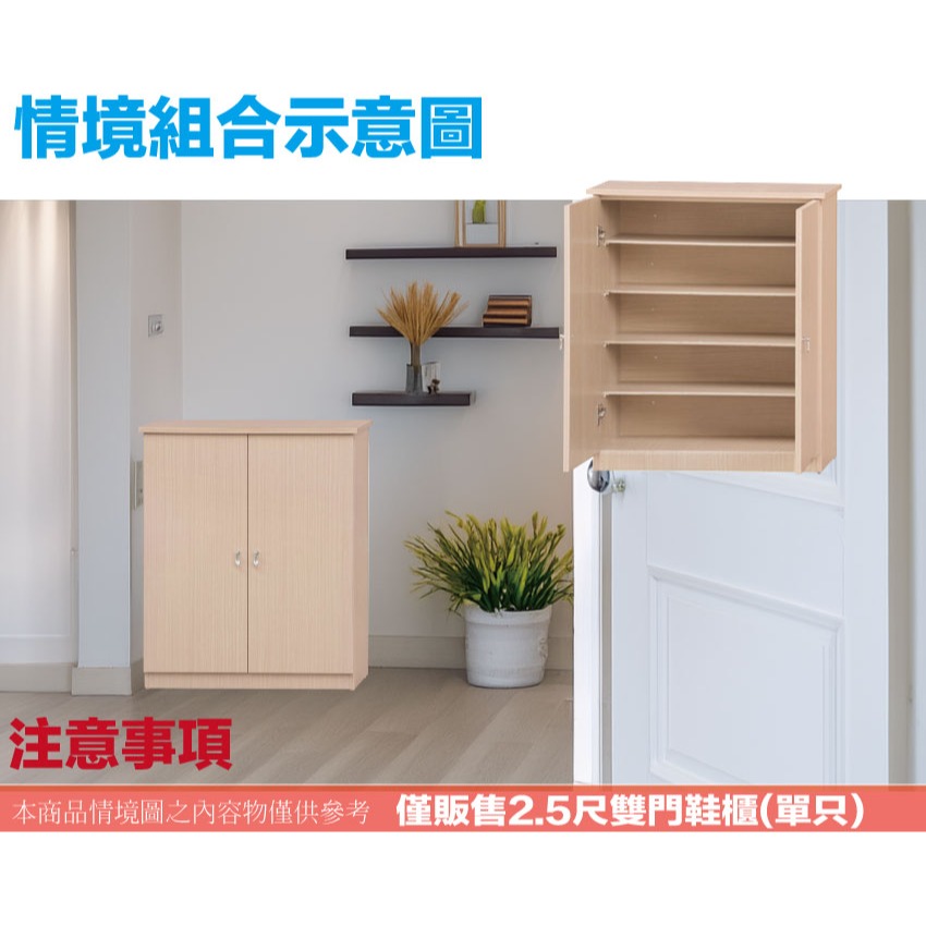 【綠家居】瑞可2.5尺二門鞋櫃(二色可選)-細節圖10