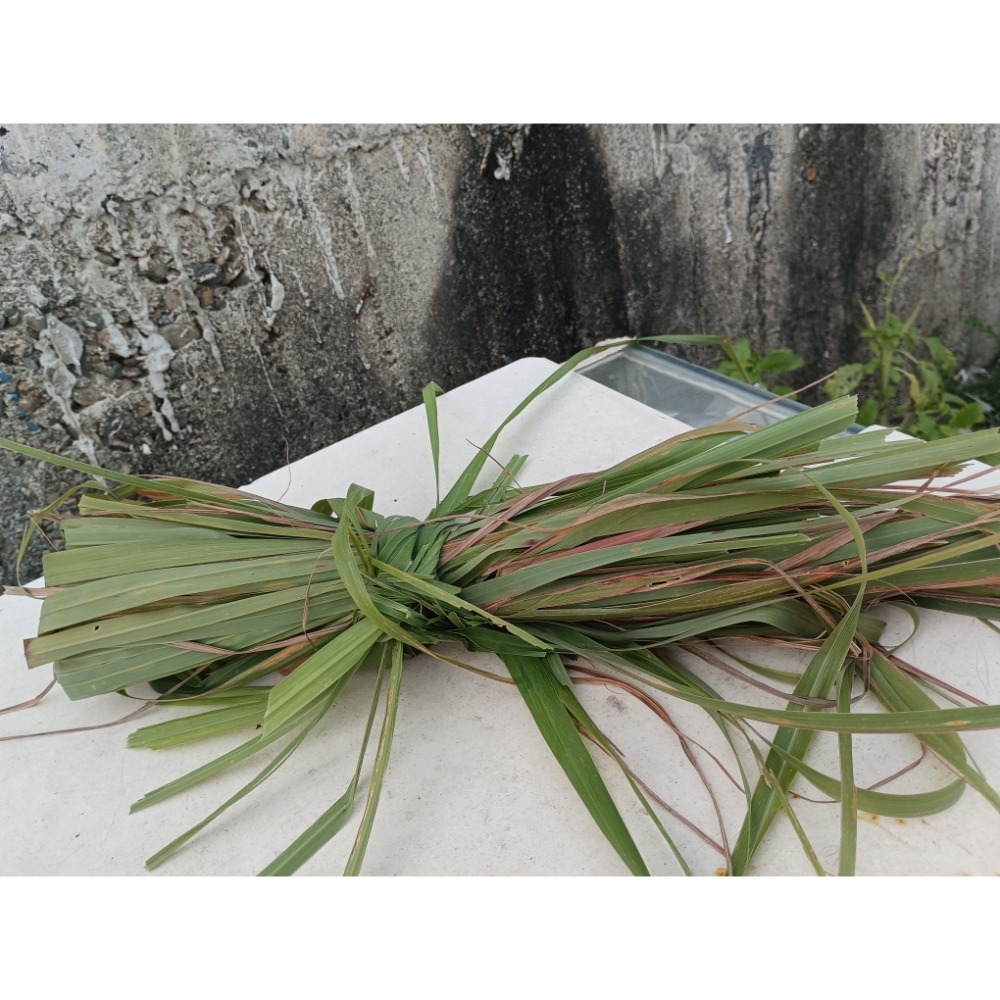 香茅草2000公克100元下標才鮮採-細節圖2