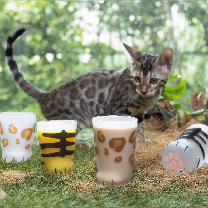 日本ADERIA 貓腳杯 貓掌造型肉球玻璃杯 Coconeco系列 貓咪玻璃杯 300ml 8款可選 1入-細節圖2