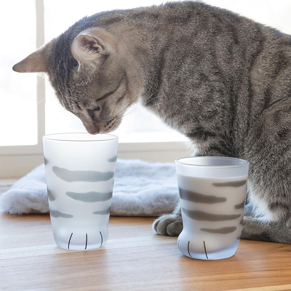 日本ADERIA 貓腳杯 貓掌造型肉球玻璃杯 Coconeco系列 貓咪玻璃杯 300ml 8款可選 1入-細節圖4